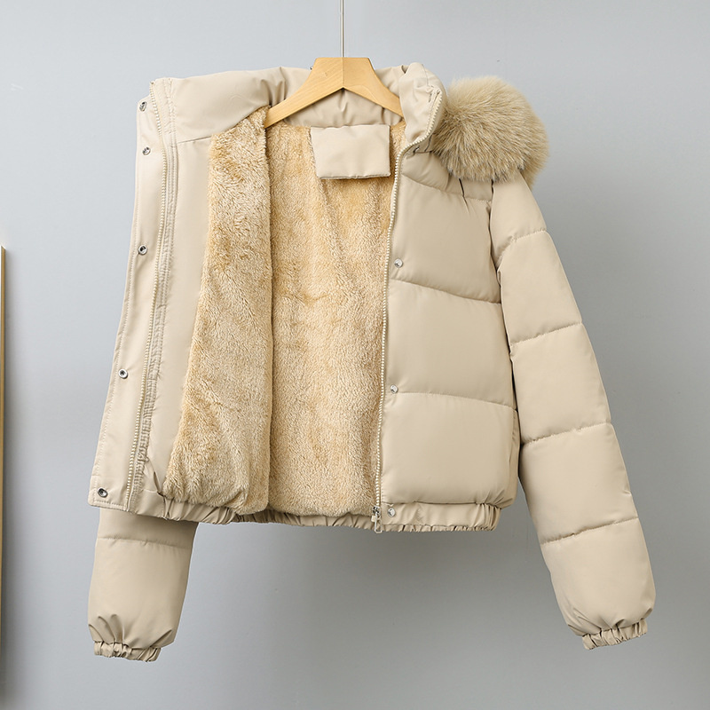 Wool Coat Peacoat - Winter Kurze Parkas frauen Baumwolle gefütterte