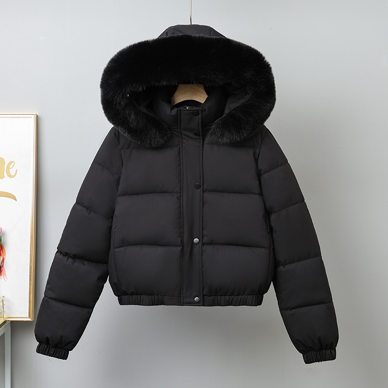 Winter Kurze Parkas frauen Bau – Wool Coat Peacoat Bewertung und Preis