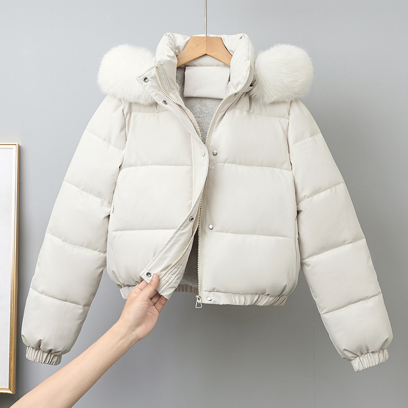 Winter Kurze Parkas frauen Bau – Wool Coat Peacoat Bewertung und Preis