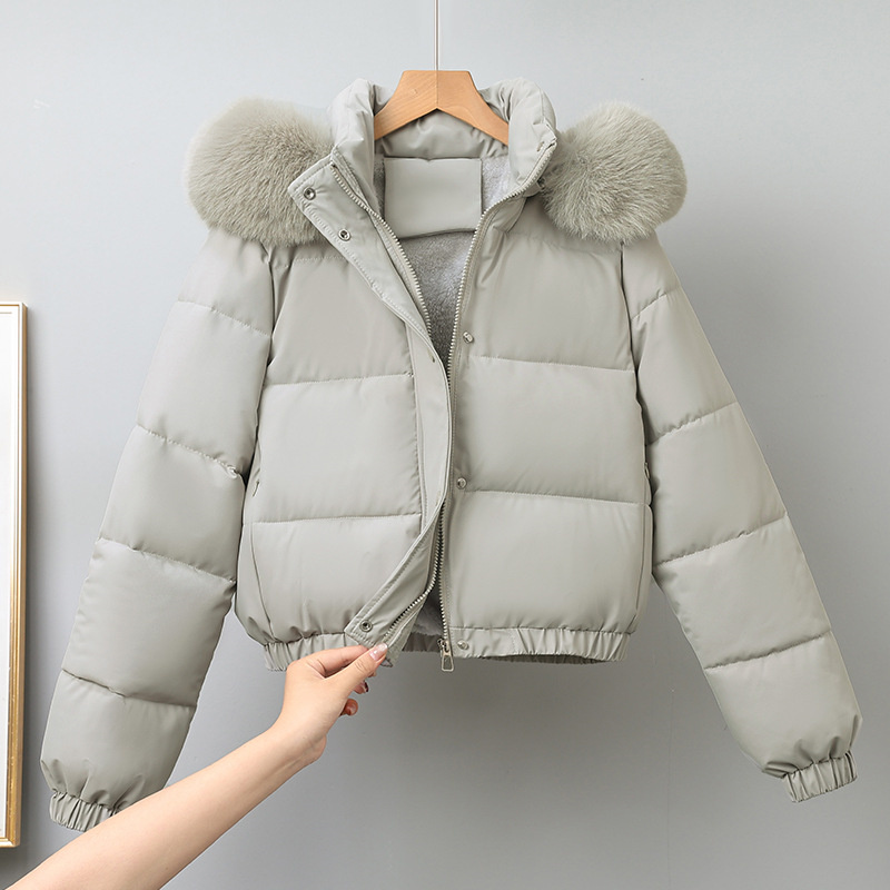 Winter Kurze Parkas frauen Bau – Wool Coat Peacoat Bewertung und Preis